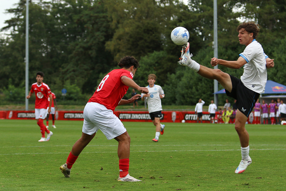 SL Benfica - Club Brugge