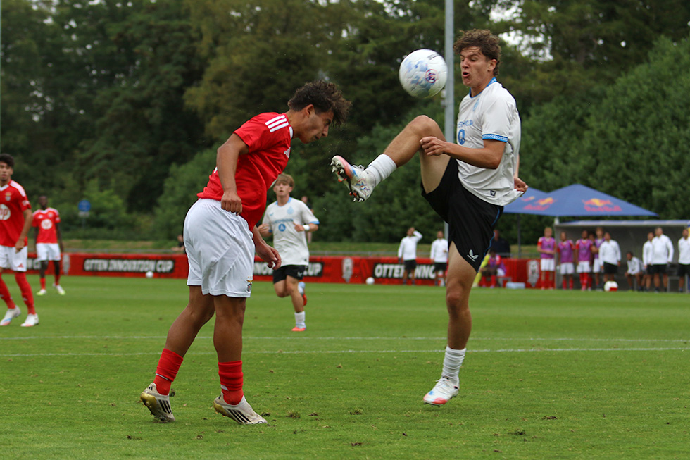 SL Benfica - Club Brugge