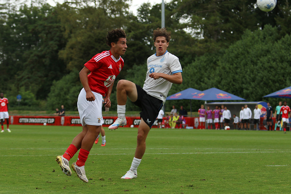 SL Benfica - Club Brugge