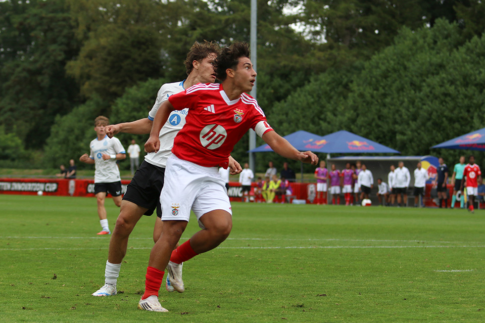 SL Benfica - Club Brugge